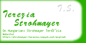 terezia strohmayer business card